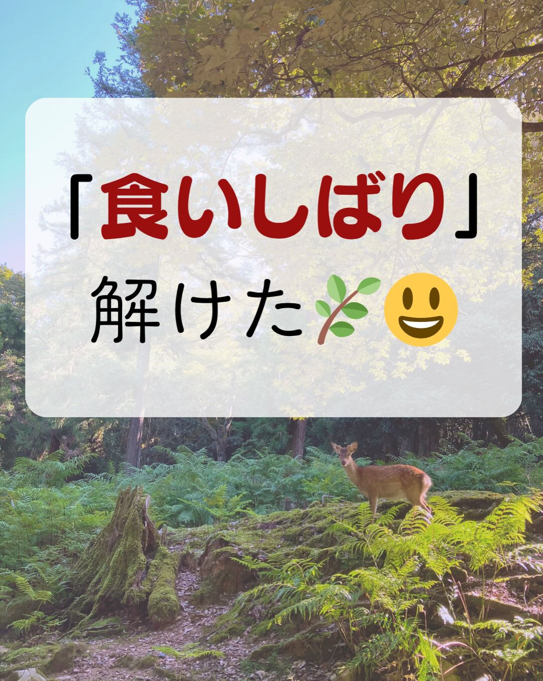 𖥧⚘𖤣𖥧𖥣𖡡𖥧𖤣𖤣𖥧𖥣𖡡𖥧𖤣⚘𖥧