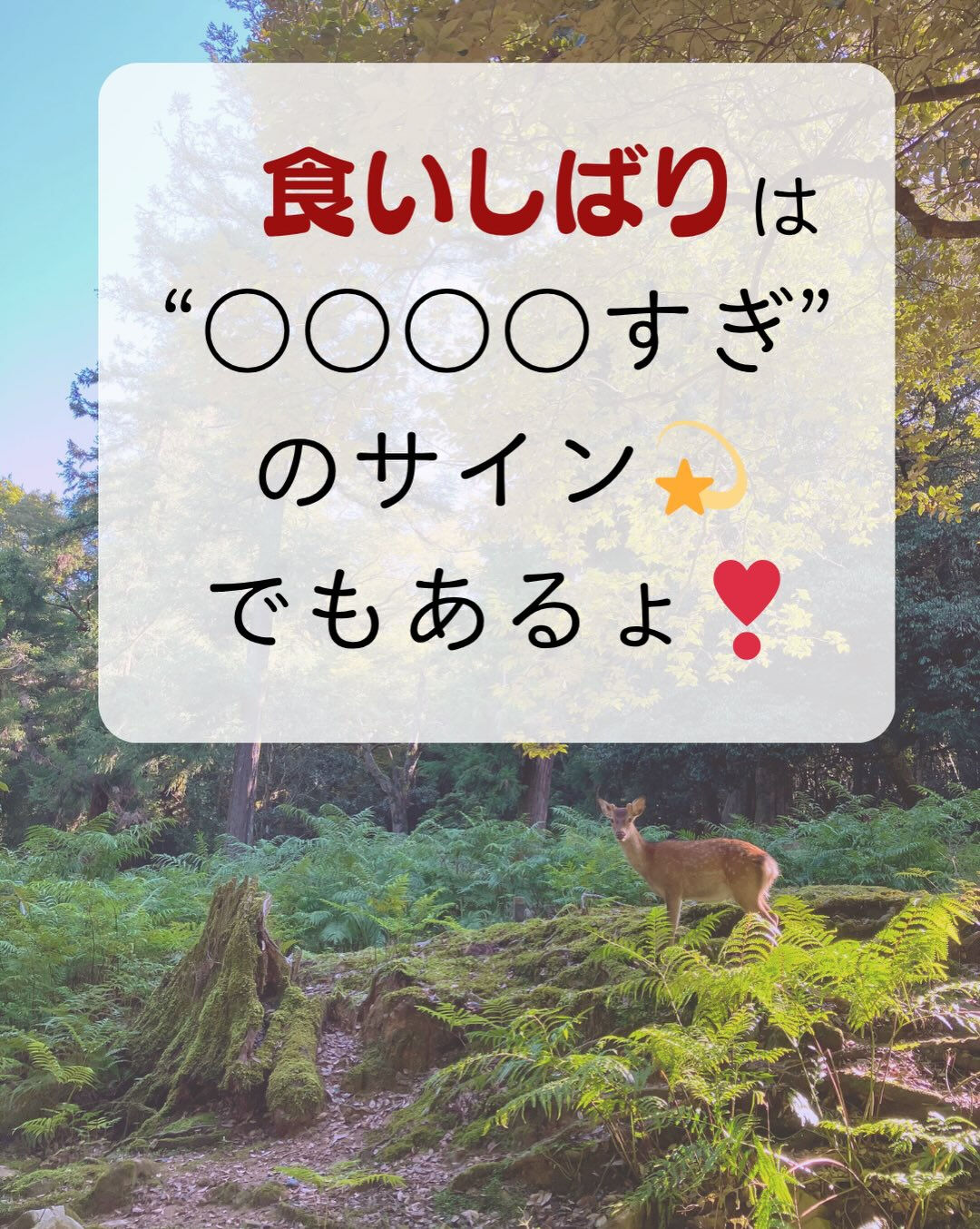 𖥧⚘𖤣𖥧𖥣𖡡𖥧𖤣𖤣𖥧𖥣𖡡𖥧𖤣⚘𖥧