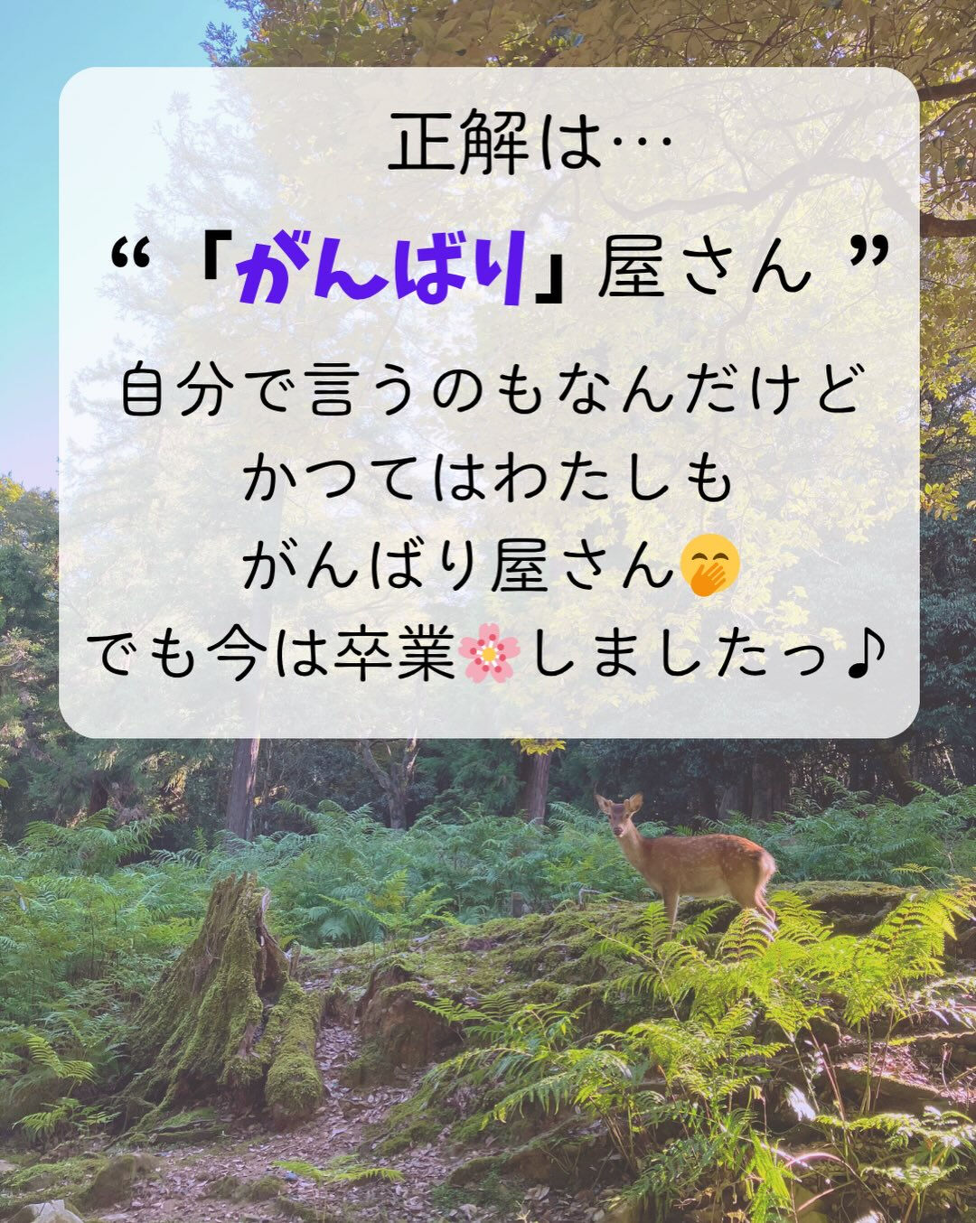 𖥧⚘𖤣𖥧𖥣𖡡𖥧𖤣𖤣𖥧𖥣𖡡𖥧𖤣⚘𖥧