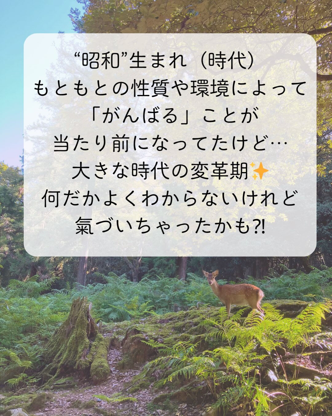 𖥧⚘𖤣𖥧𖥣𖡡𖥧𖤣𖤣𖥧𖥣𖡡𖥧𖤣⚘𖥧