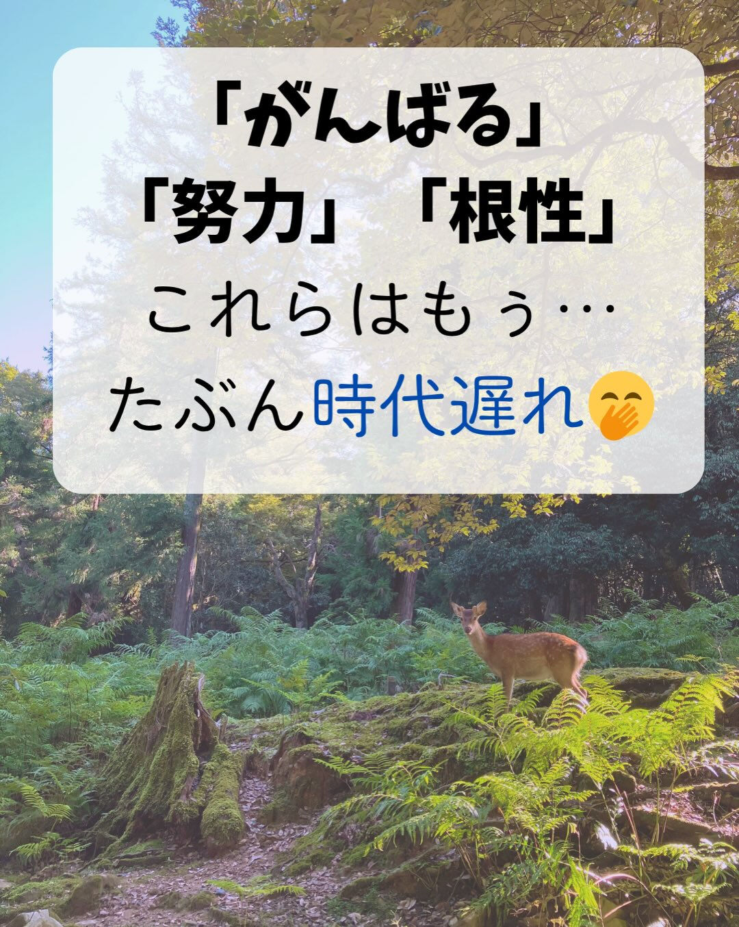 𖥧⚘𖤣𖥧𖥣𖡡𖥧𖤣𖤣𖥧𖥣𖡡𖥧𖤣⚘𖥧