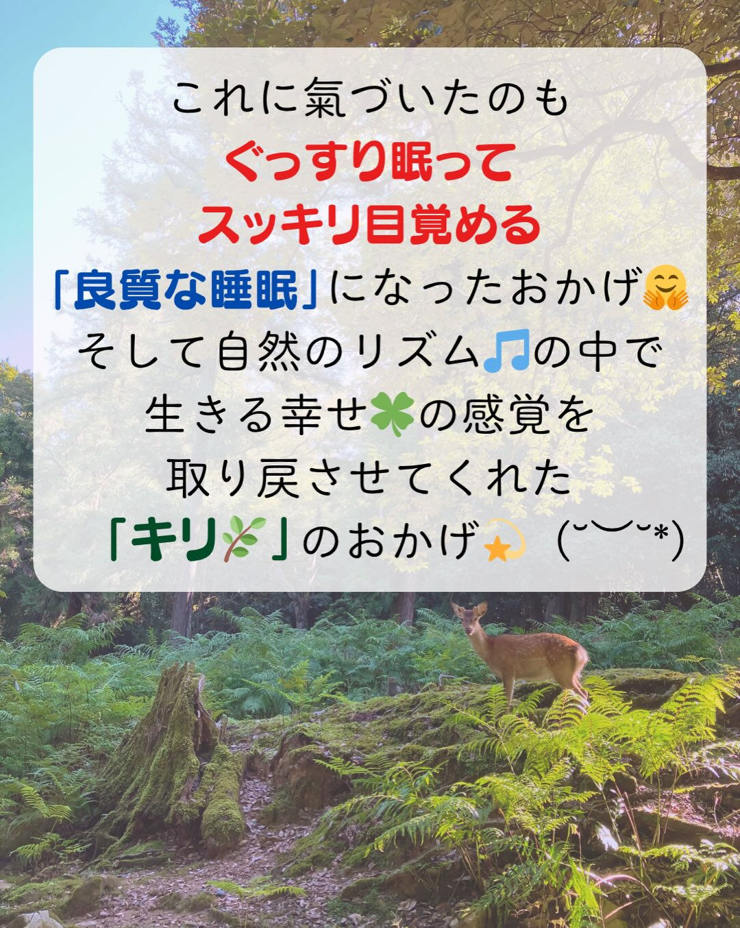 𖥧⚘𖤣𖥧𖥣𖡡𖥧𖤣𖤣𖥧𖥣𖡡𖥧𖤣⚘𖥧