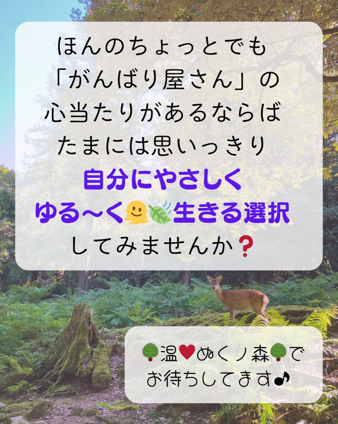 𖥧⚘𖤣𖥧𖥣𖡡𖥧𖤣𖤣𖥧𖥣𖡡𖥧𖤣⚘𖥧