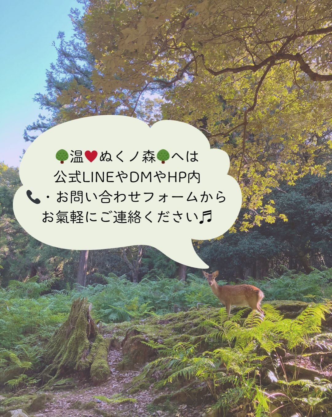 𖥧⚘𖤣𖥧𖥣𖡡𖥧𖤣𖤣𖥧𖥣𖡡𖥧𖤣⚘𖥧