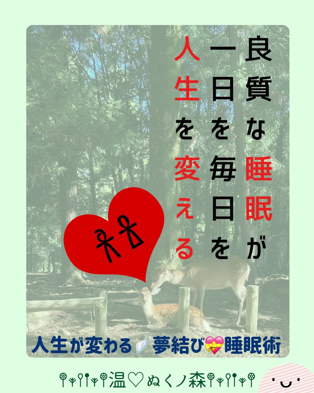 𖥧⚘𖤣𖥧𖥣𖡡𖥧𖤣𖤣𖥧𖥣𖡡𖥧𖤣⚘𖥧