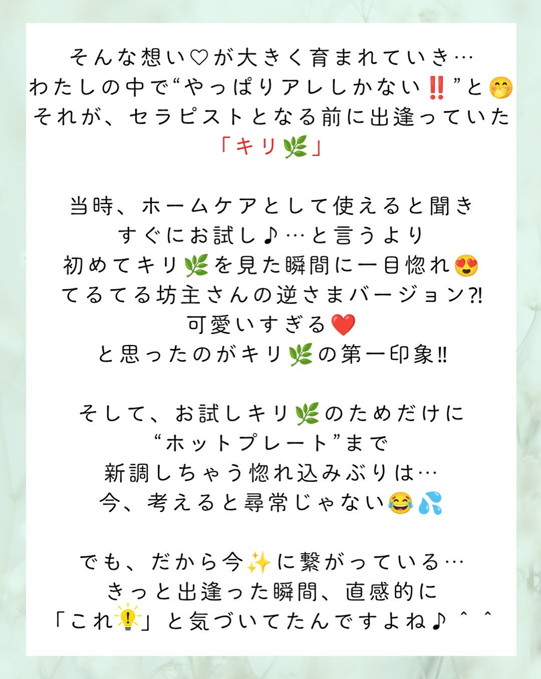 𖥧⚘𖤣𖥧𖥣𖡡𖥧𖤣𖤣𖥧𖥣𖡡𖥧𖤣⚘𖥧