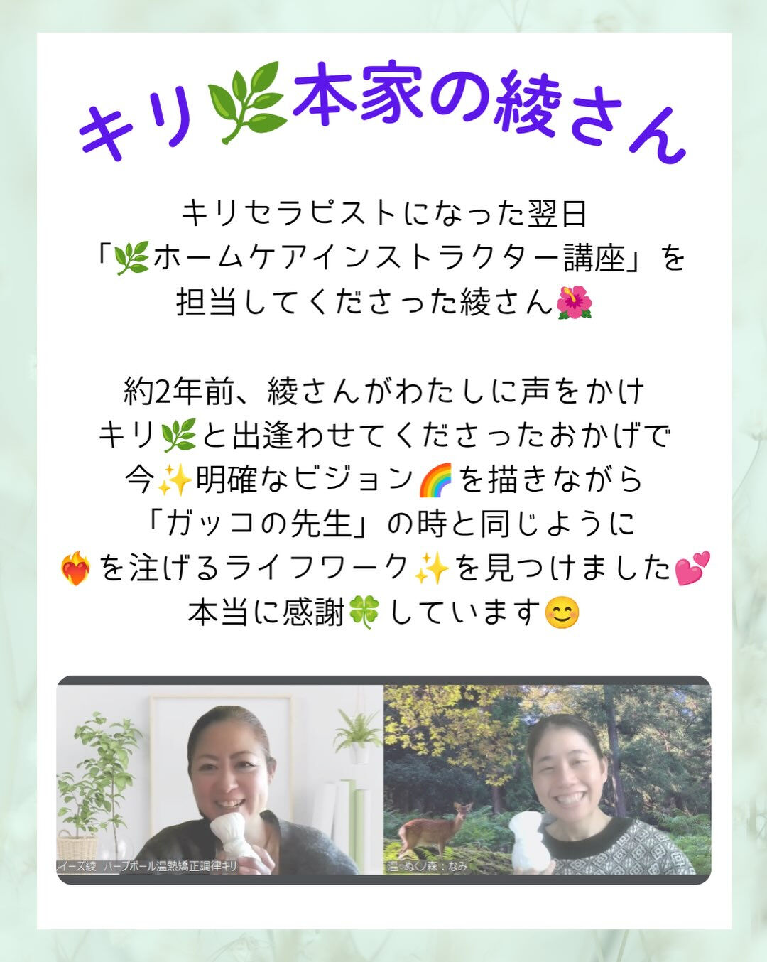 𖥧⚘𖤣𖥧𖥣𖡡𖥧𖤣𖤣𖥧𖥣𖡡𖥧𖤣⚘𖥧